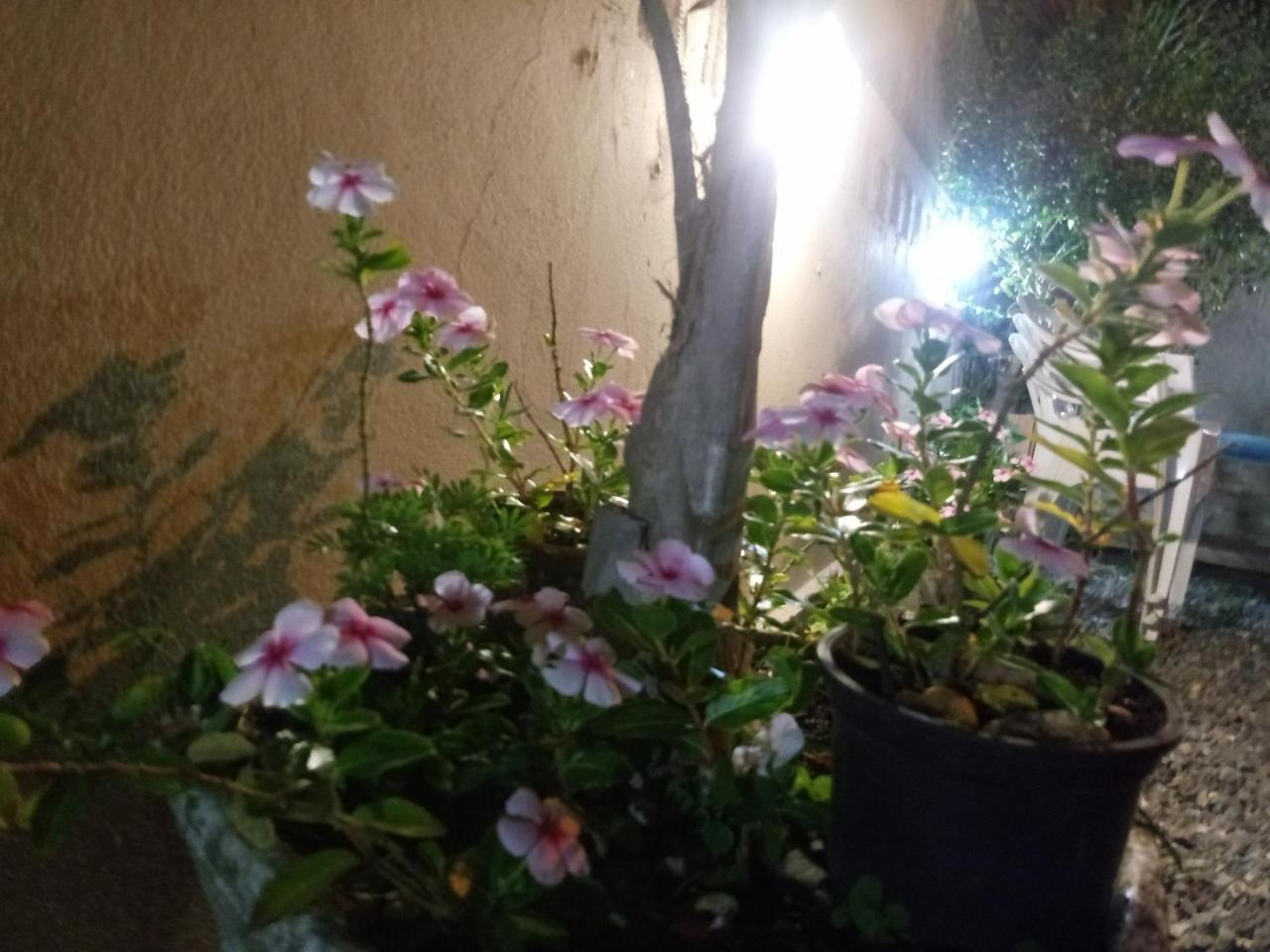 Pousada Leher Hotell São Gabriel Exteriör bild